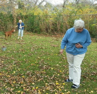 IMG 20121201 141450-1