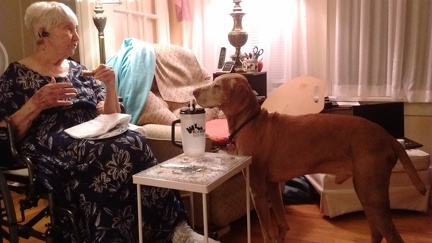 IMG 20151104 183138025